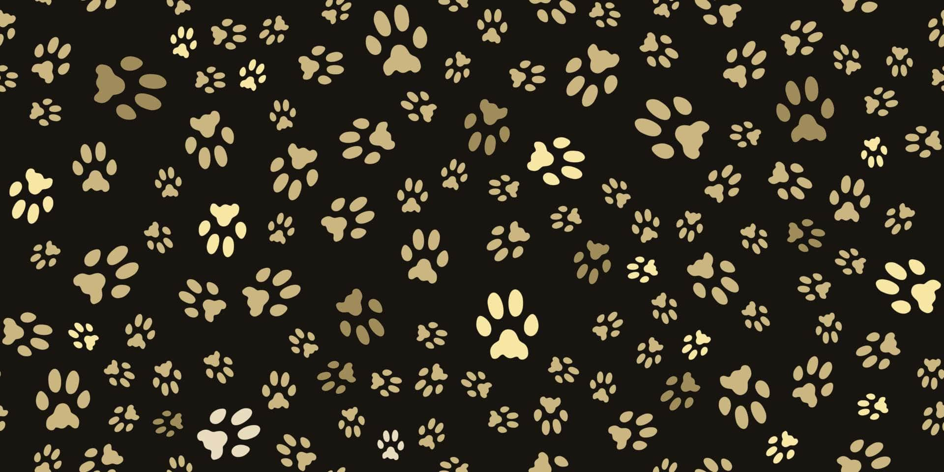 Black Gold Paws Vinyl