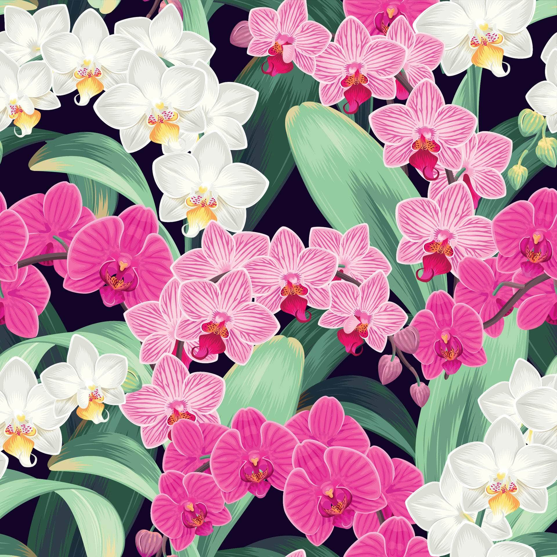 Orchid Flower Vinyl