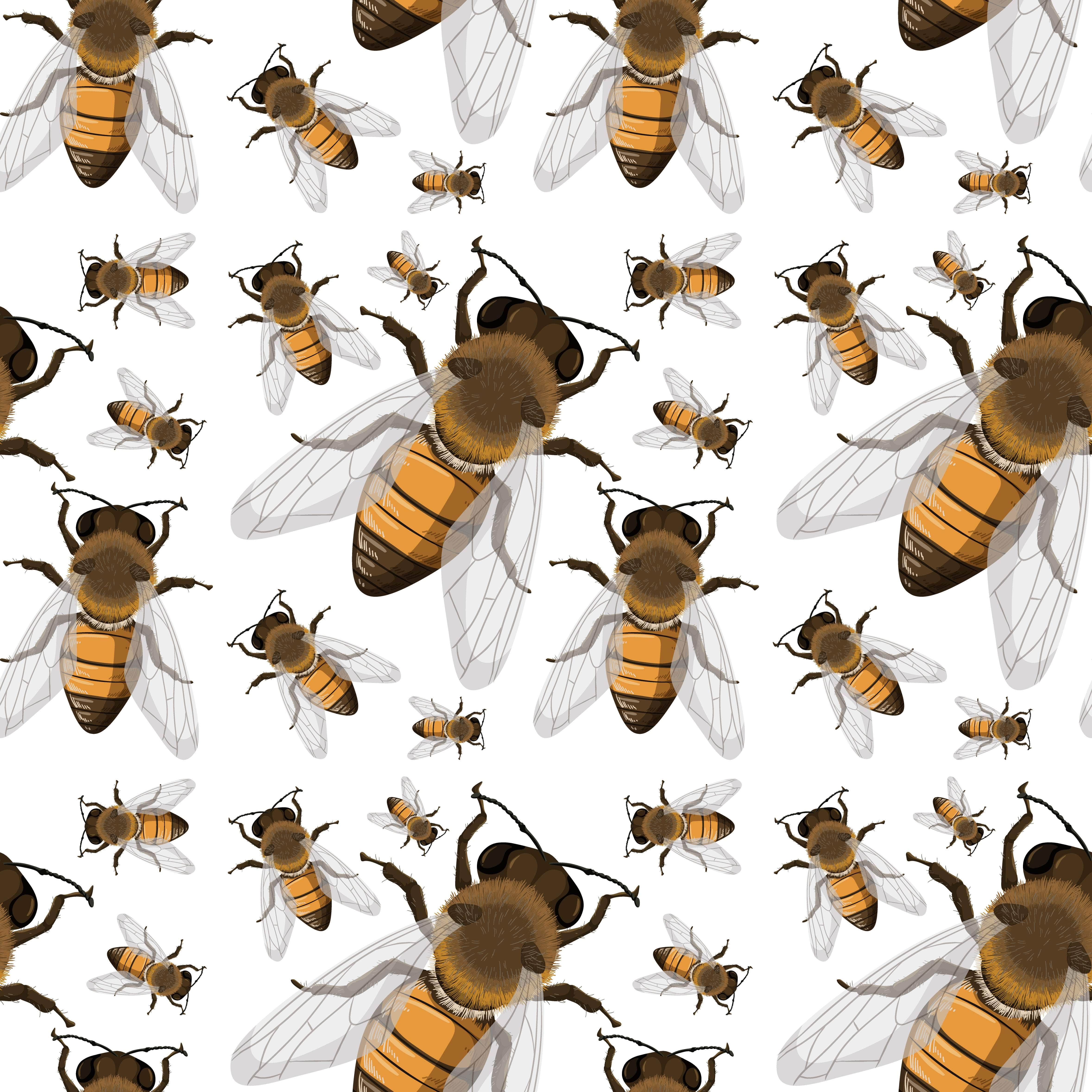 Realistic Bee Vinyl