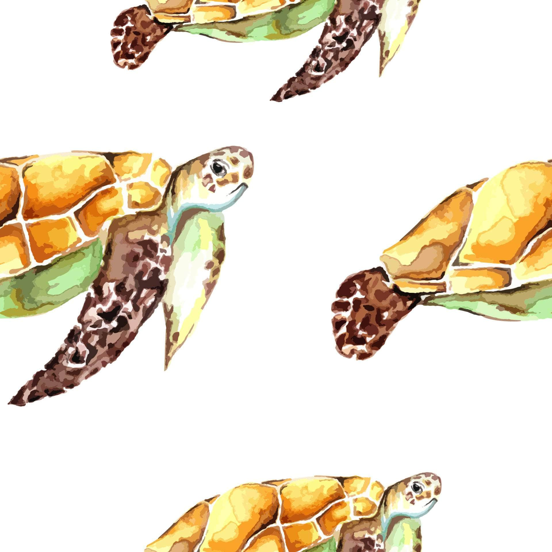 Sea Turtle Vinyl