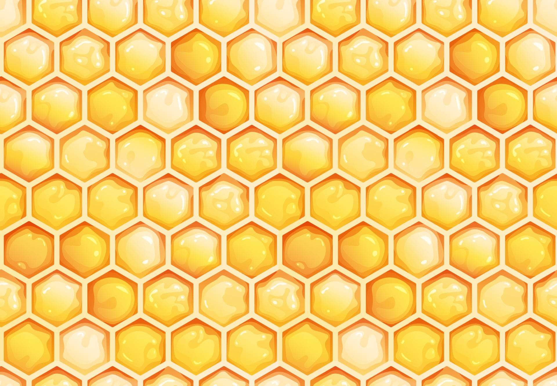 Sweet Honeycomb Vinyl