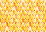 Bee Vinyl - Flexa